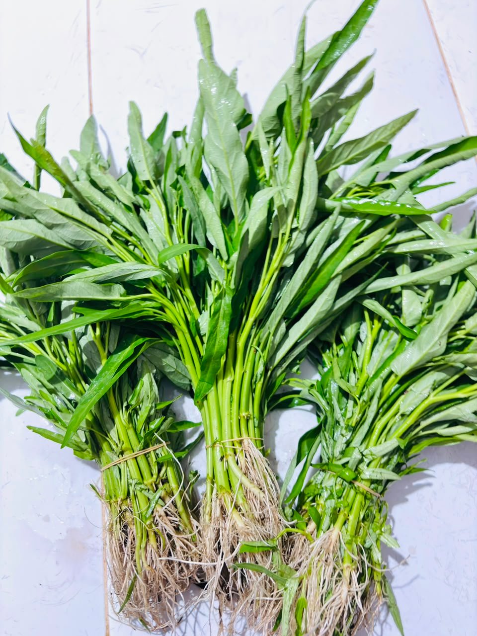 Sayur Kangkung
